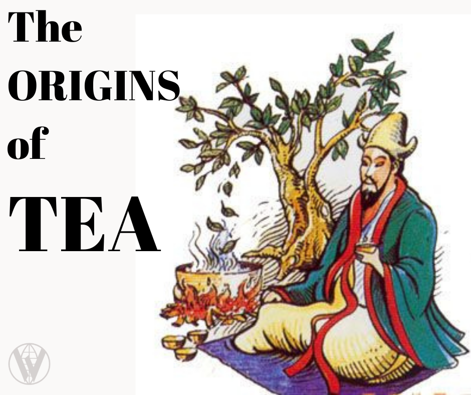 The Origins of TEA | WWTea 环球茶叶 Premium Chinese Tea Merchant