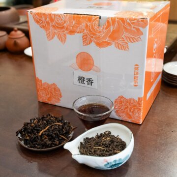 chenpipuer-05